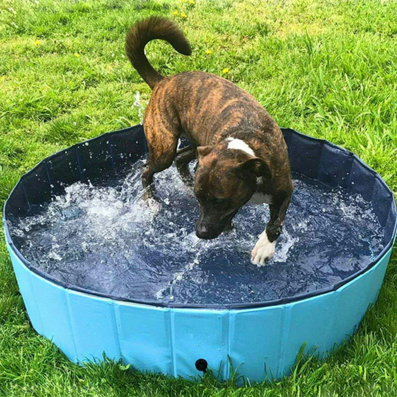 Portable Pet Pool