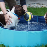 Portable Pet Pool